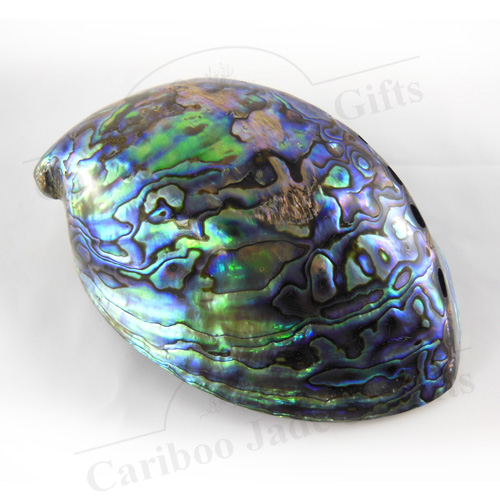 Abalone Shell - Cariboo Jade & Gift Shop